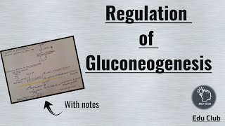 Regulation of Gluconeogenesis  Carbohydrate metabolism  Biochemistry [upl. by Attenej835]