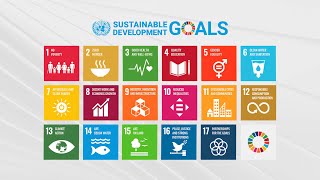 The Road to 2030 Unveiling the History and Importance of the Sustainable Development Goals SDGs [upl. by Gaultiero]