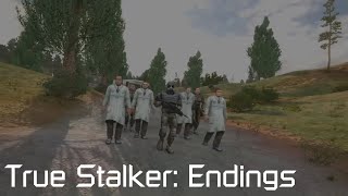 SPOILERS True Stalker  Endings [upl. by Chapell]