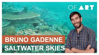 Bruno Gadenne  Saltwater Skies  OF ART [upl. by Coe]