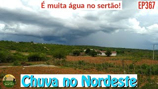 Nordeste Muitas chuva caindo em Vários Municípios Ep367 [upl. by Nedyrb]