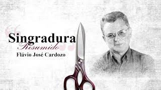 Resumo Singradura  Flávio José Cardoso  Audioresumos de Livros [upl. by Rehpatsirhc770]