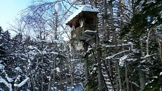 Alone he built a wooden hut shelter on high in the winter and snow  Life in the forest [upl. by Assenev]