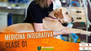 MEDICINA VETERINARIA INTEGRATIVA  CLASE 01 [upl. by Nekal]