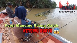 Ketemu Tiga Buaya Saat Pergi Mancing Udang Galah‼️ Bersama Mertua [upl. by Rauch]