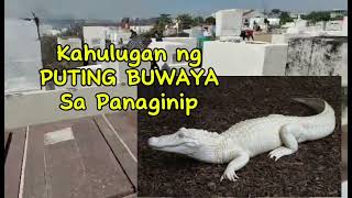 MGA KAHULUGAN NG PANAGINIP  COMPILATION 28 [upl. by Ridglee]