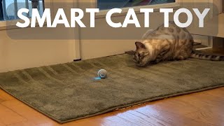 Smart Interactive Cat Toy Review [upl. by Adnilreh508]