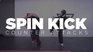 Spin Kick Counter Attacks for Point Sparring [upl. by Juback631]