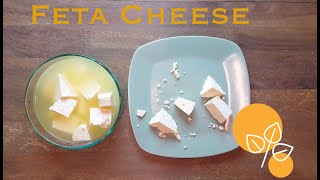 How to make Feta Cheese at home Super Easy amp Healthy Inspired by Iranian Cuisine [upl. by Dib641]