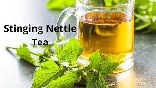 Uncover the Health Benefits of Stinging Nettle Tea The Ultimate Guide [upl. by Acisset724]