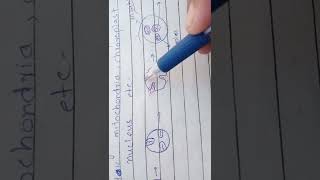 Membrane infolding hypothesis [upl. by Nawoj164]