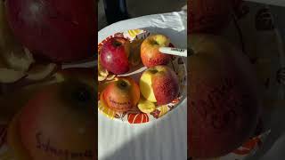 Apples in Kentucky Aztec Fuji Wine Crisp Stayman Winesap and Crimson Crisp [upl. by Arolf]