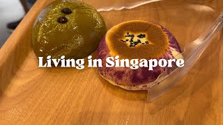 Employee life in Singapore  Public holiday and JB day trip [upl. by Tebzil]