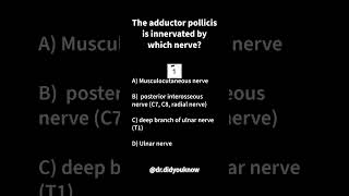 The adductor pollicis is innervated by which nerve physio [upl. by Anisirhc]