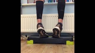 Peroneal Exercises [upl. by Cathe]