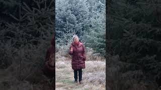 Angst allein im Wald  Abenteuerreisende Carmen Rohrbach [upl. by Nwahsram]