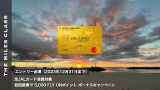 2023年 JAL初回搭乗で5000FOPボーナスキャンペーン  JGC修行 要エントリー [upl. by Pega]