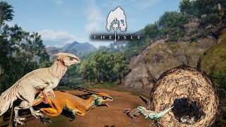 The Colony Grows  The Great Hypsi Colony Part 3  Hypsilophodon Gameplay  The Isle Evrima [upl. by Tiram457]