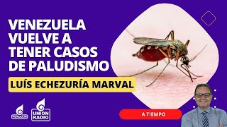 Día del Paludismo ¿Cómo maneja Venezuela la enfermedad ll A Tiempo [upl. by Etneciv633]