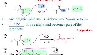 282 Hydrolysis Reactions [upl. by Morvin956]