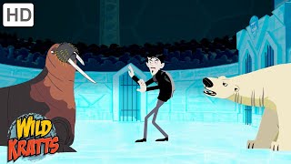 Winter Adventures Part 6  Happy Holidays  Wild Kratts [upl. by Colyer]