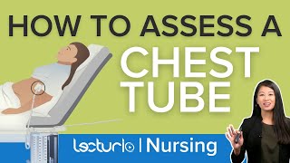 How To Assess and Manage A Chest Tube For Nurses  Clinical Skills  Lecturio Nursing [upl. by Anigriv]