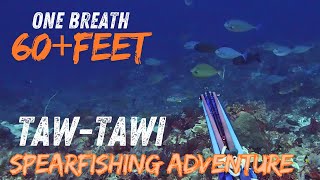 Hunting 60feet In TawiTawi Spearfishing Tawitawi EII  English sub [upl. by Ettenhoj597]