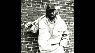 Cappadonna  Slang Editorial RenBoz RMX [upl. by Currey328]