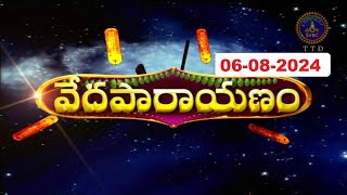 వేదపారాయణం  Vedaparayanam  Tirumala  06082024  SVBC TTD [upl. by Eliam]