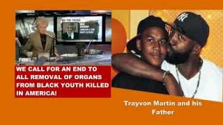 Trayvon Martin Something More Sinister  His Organs were HARVESTED [upl. by Bridgette]