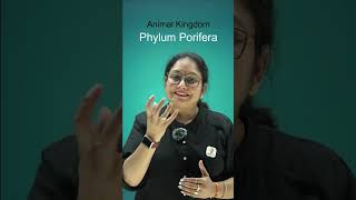 Phylum Porifera  Animal kingdom  cbse  neet  NCERT upsc [upl. by Llekram]