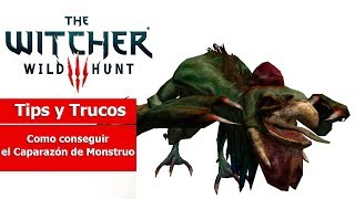 The Witcher III Wild Hunt  Tips y Trucos  Como conseguir el Caparazón de Monstruo [upl. by Paradies]