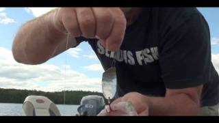 lake trout fishing lac des 31milles july 2011avi [upl. by Howie]