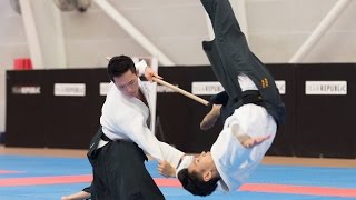 Aikido Aloyseus Lee Sensei 4th All Aikido ShinjuKai Demonstration 2016 [upl. by Arahsal]