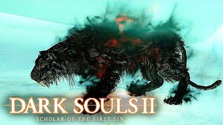 Dark Souls 2 ► Afueras Glaciares Lud y Zallen 😭 Zona de Reto  Guía Dark Souls 2 Completa [upl. by Aneelad]