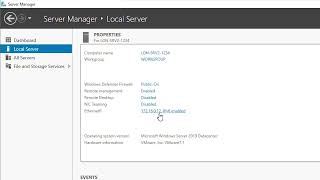 How to Install and Configure DNS server in Windows Server 2019 [upl. by Grace]