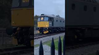 British Railway class 33 sea king rattles past at Totnes Riverside station 33002 diesel locomotive [upl. by Michaele]