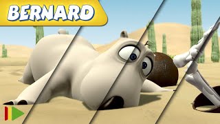 🐻‍❄️ BERNARD  Collection 37  Full Episodes  VIDEOS and CARTOONS FOR KIDS [upl. by Reinaldo472]