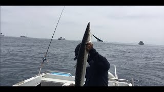 SLOW TROLLING FISHING BARRACUDA BY SQUID SKIRT amp FISH LURE [upl. by Seftton]