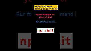 Packagejson file create with just one command governorsindhinitiative code typescript [upl. by Amador]