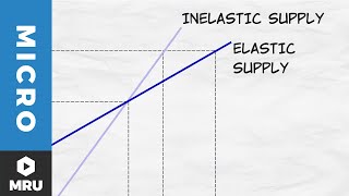 Elasticity of Supply [upl. by Ayek835]