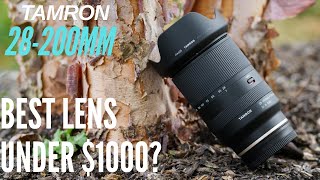 Best All Round Lens Under 1000 Tamron 28200mm Lens Review [upl. by Inimak949]