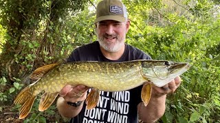 My first time lure fishing Saxon Mill Fishery Warwickshire [upl. by Sukramal69]