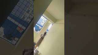 Hostel life youtubeshorts subscribe shortsviral short trending youtube like share india [upl. by Aticilef]