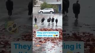 Turkeys are Fighting Back this Thanksgiving 😱 [upl. by Anirbys]