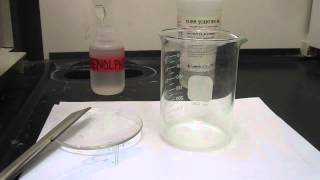 Reaction of Sodium with tertButanol 003 [upl. by Blondell91]