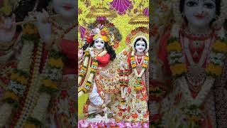 Giridhari Lal Nache Shyam Gopal merochotosoladdugopal radharanifoollelomalanbanegeg🙏🙏 shortvideo [upl. by Stoneham]