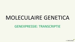 Moleculaire genetica  Genexpressie transcriptie [upl. by Nitsrek]