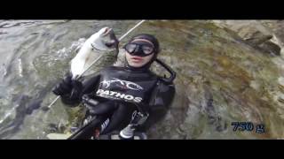 Spearfishing  Shallowest white sea bream catch ever [upl. by Anigroeg565]