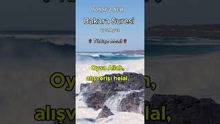 Bakara Suresi 275Ayet Türkçe Meali [upl. by Acinat]